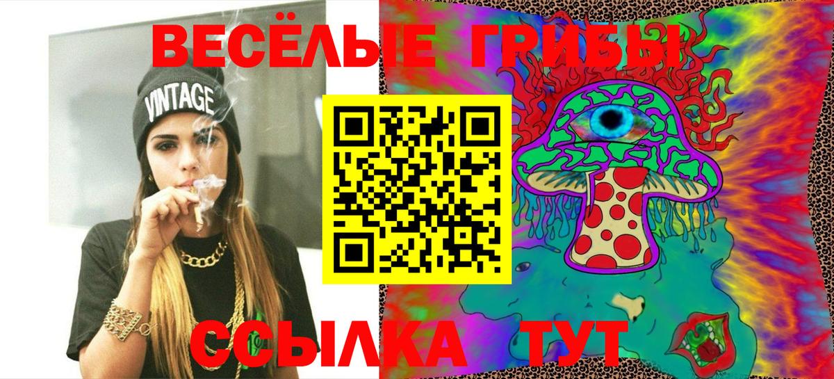 наркота  Галлюциногенные грибы прущие грибы  Псилоцибиновые грибы Magic Shrooms  Вход с VPN  Коряжма 